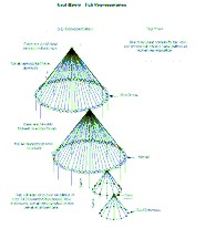Soul Group Matrix - Click to Enlarge